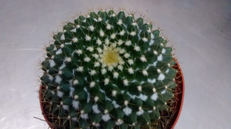 img_20161004_192937746