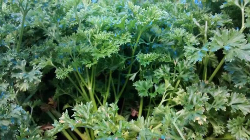 img_20161005_191459170