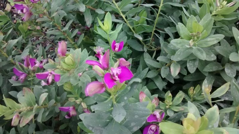 img_20161006_114639076