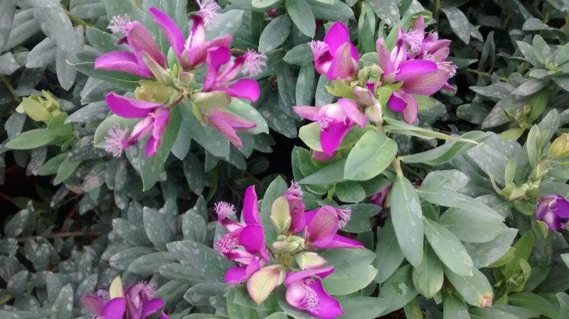 img_20161006_114653906