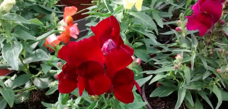 img_20161006_171649064