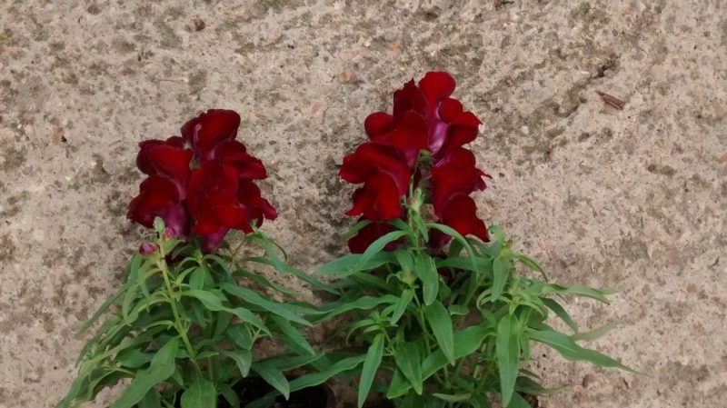 img_20161006_171854956