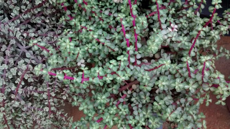 img_20161007_165720676