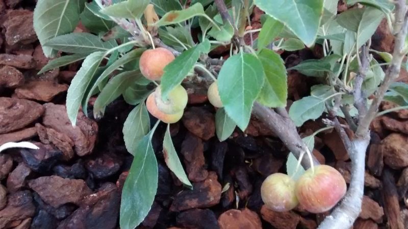 img_20161009_102137562