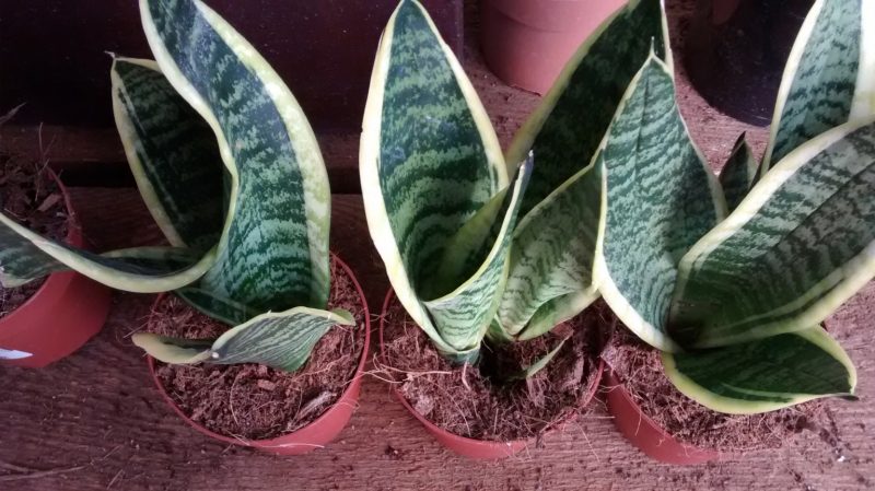 img_20161011_170545002