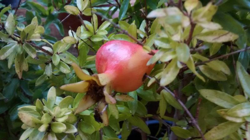 img_20161012_105441970