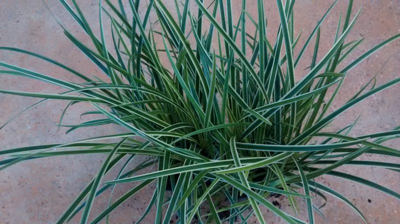 img_20161013_171342440