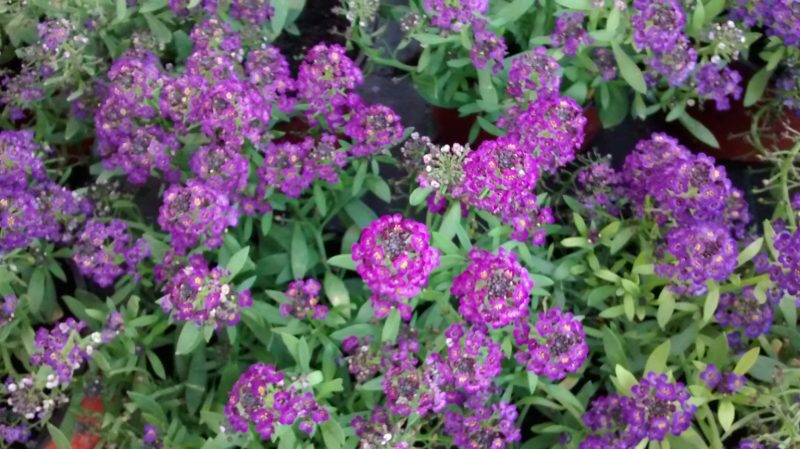 img_20161015_190355040