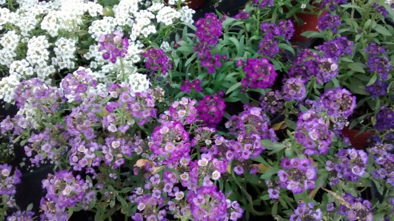 img_20161015_190425232
