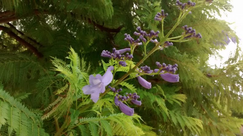 img_20161017_125725141
