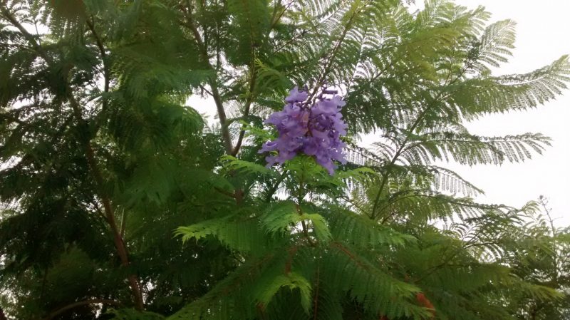 img_20161017_130107709