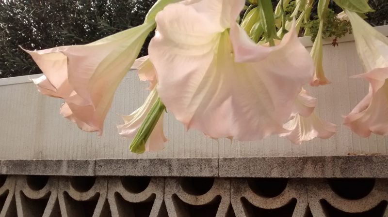 img_20161017_132653770