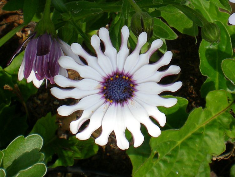 dscn0252