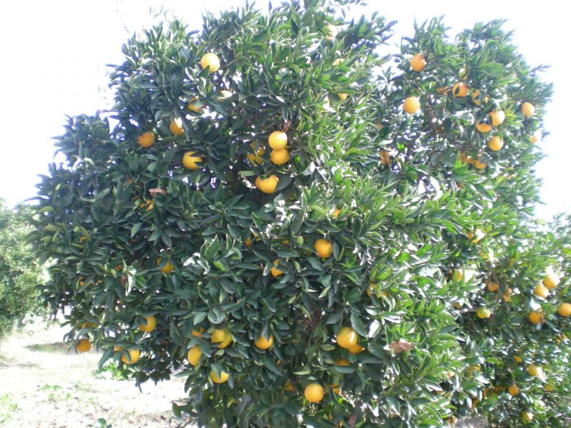 dscn4560