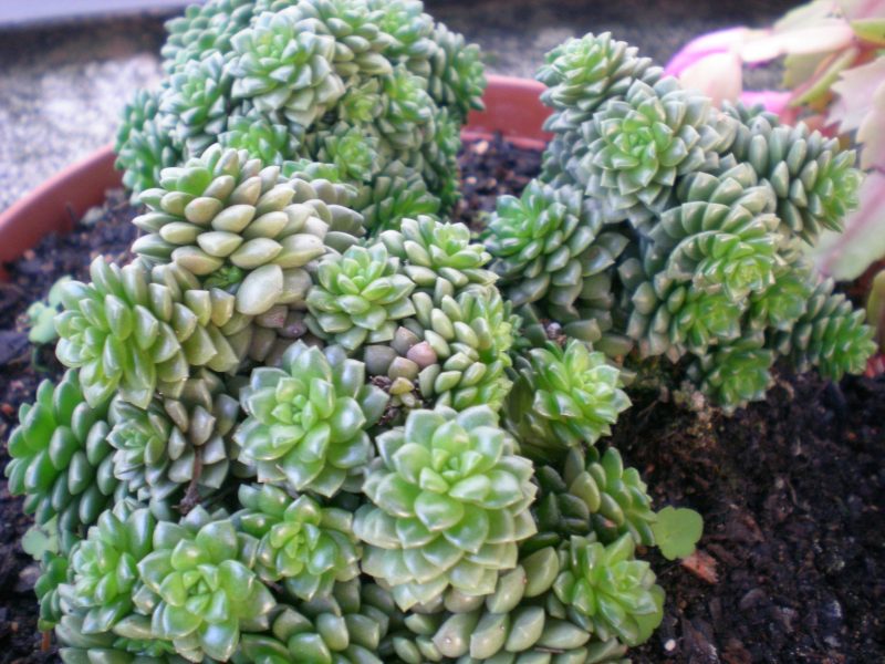 dscn4790
