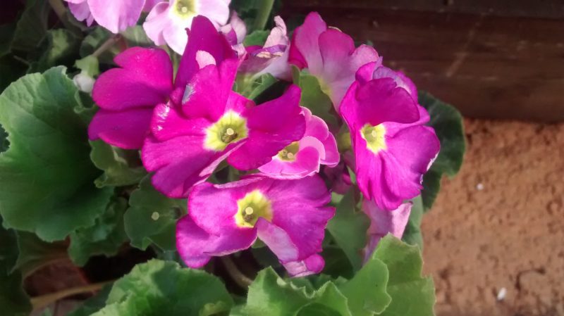 img_20161103_123941307
