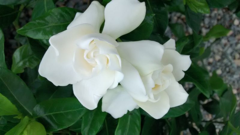 img_20161104_154605948