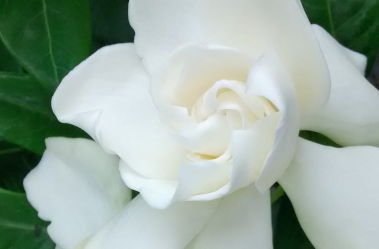 img_20161104_154605948