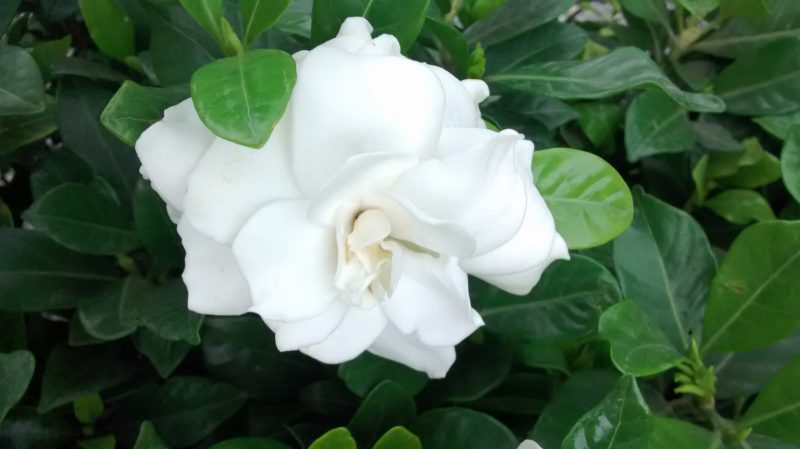 img_20161104_154614896