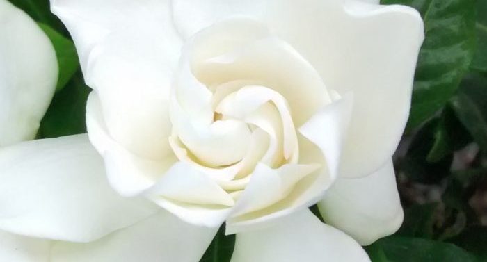 img_20161104_154635877