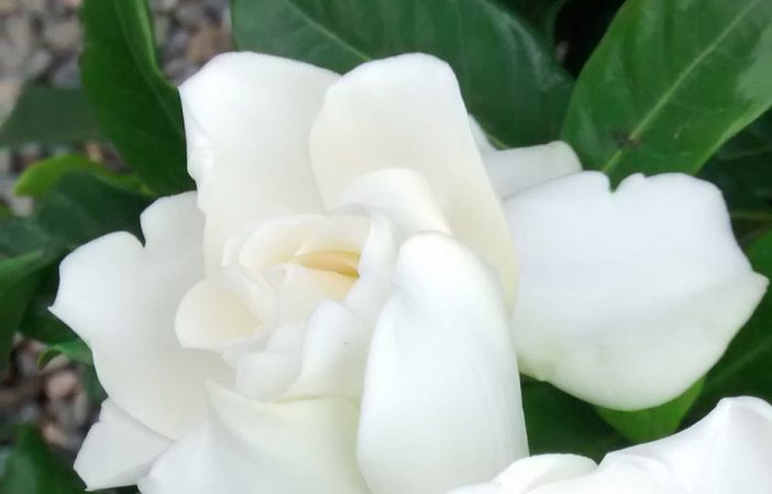 img_20161104_154635877