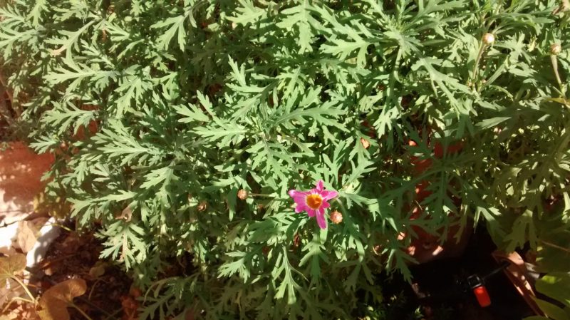 img_20161107_123307080