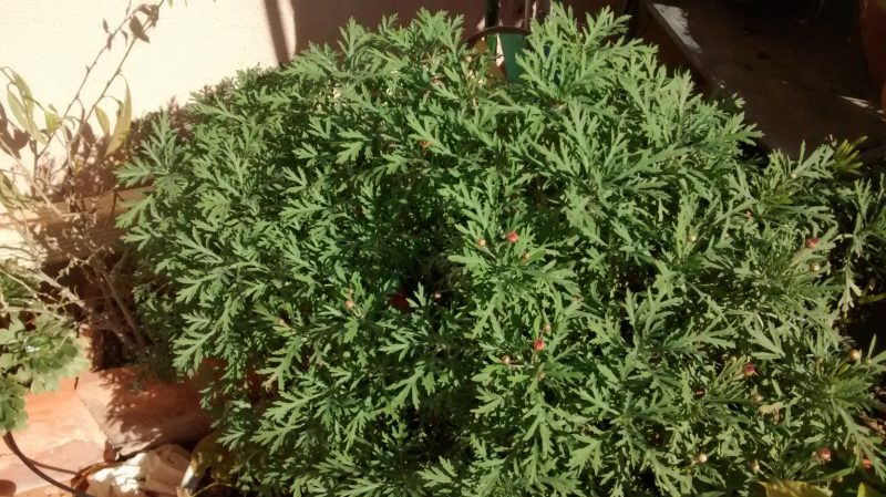 img_20161107_123312285