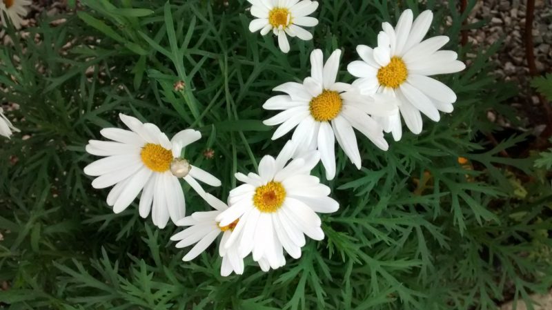 img_20161112_165628489