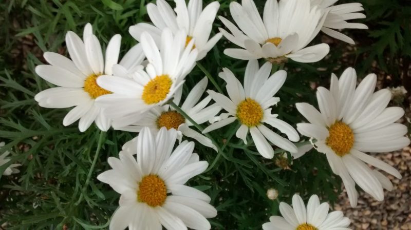 img_20161112_165717428