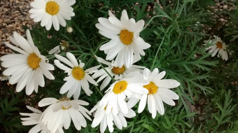 img_20161112_165720958