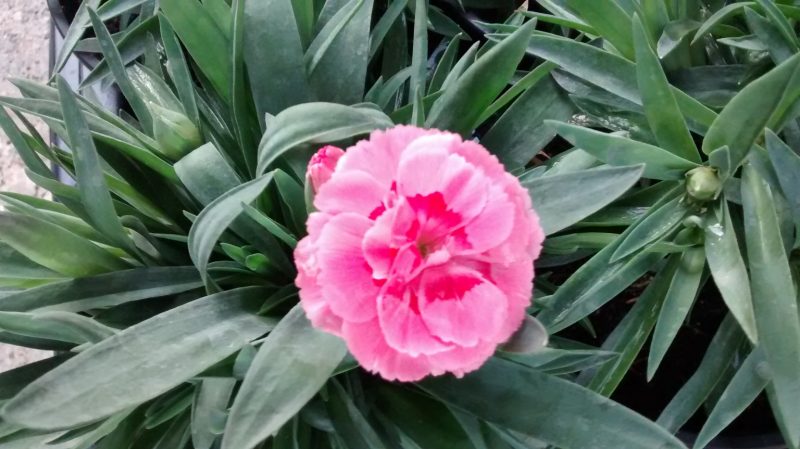 img_20161112_170925540