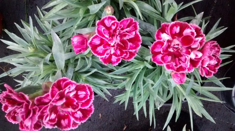 img_20161112_171122889