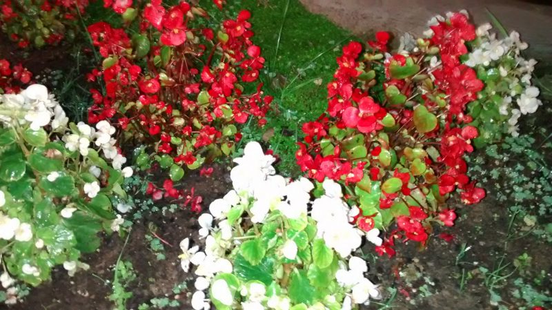 img_20161118_182129734