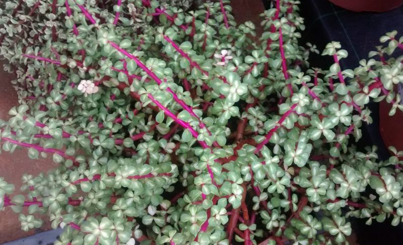 img_20161120_104724039