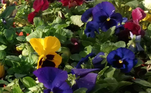 img_20161120_105614879