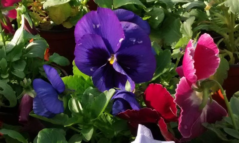 img_20161120_105625530