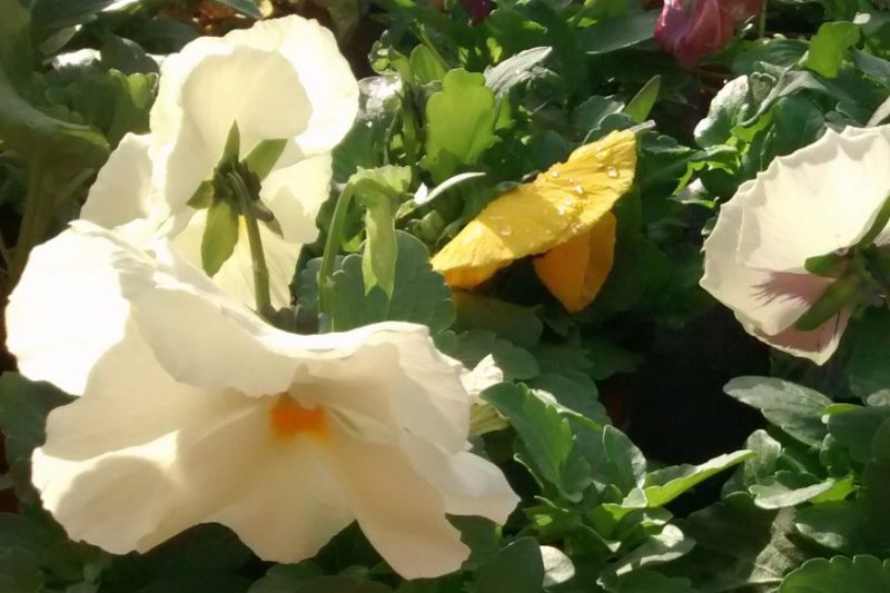 img_20161120_105636037