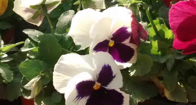 img_20161120_105644341