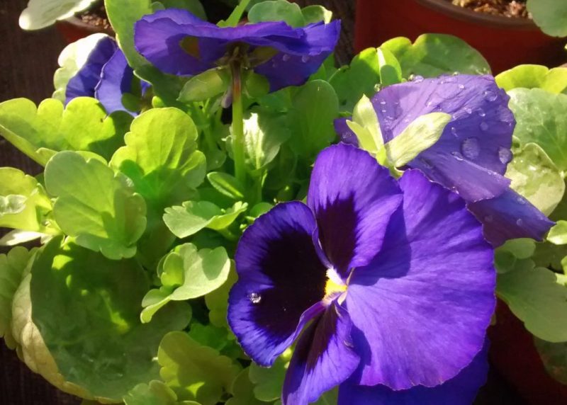 img_20161120_105657222