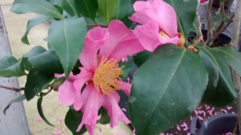 img_20161123_113150447