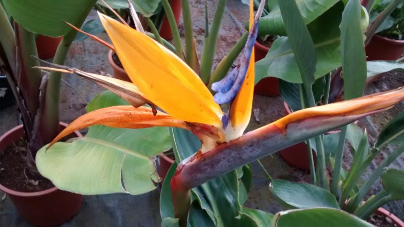 img_20161123_113332594